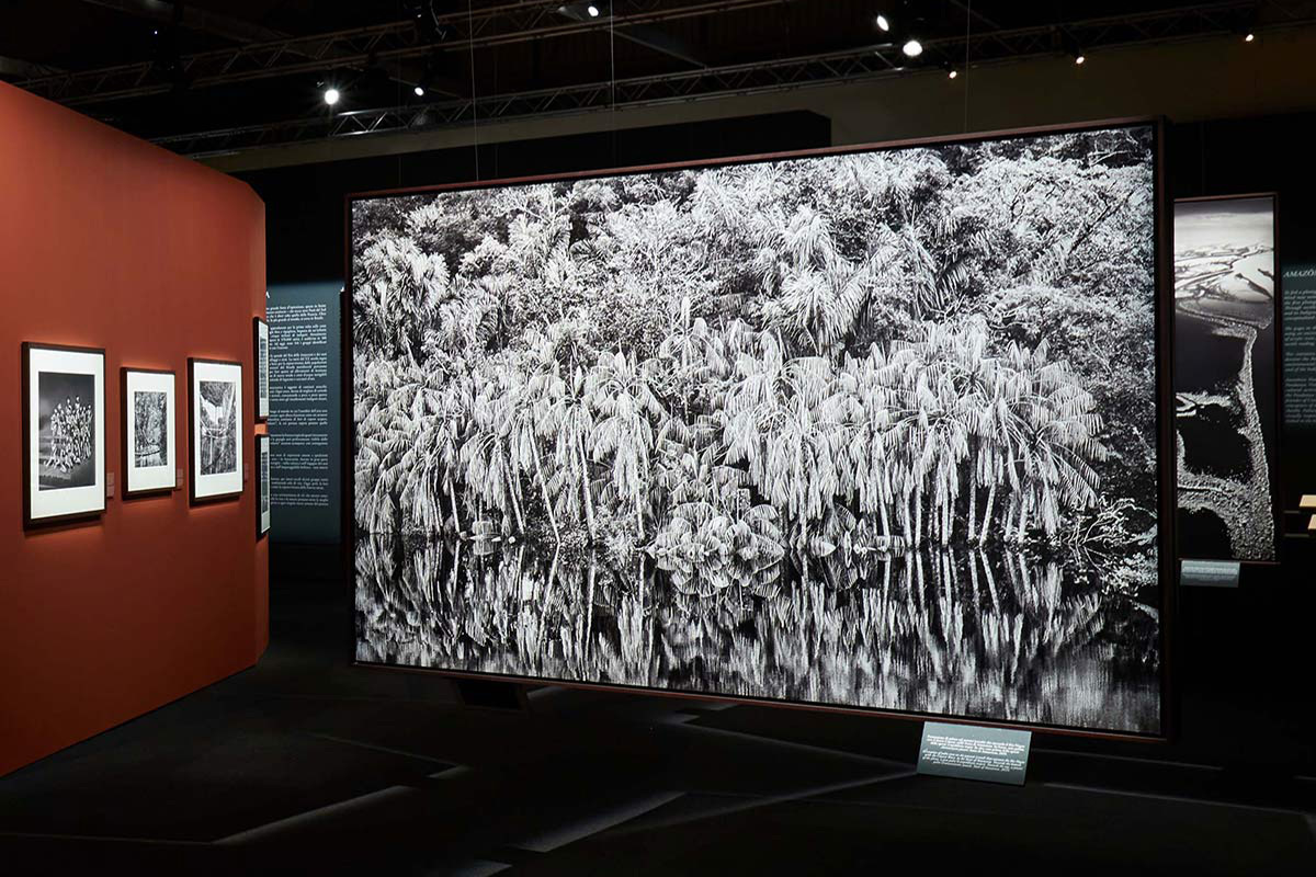 The Amazônia exhibition