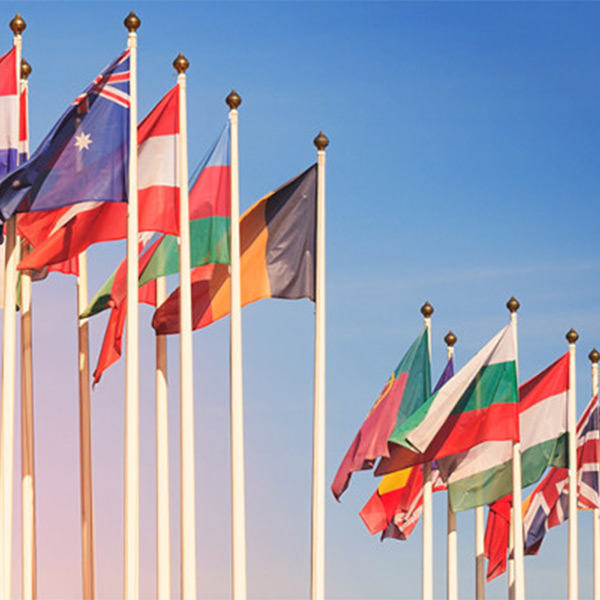 Flags on poles