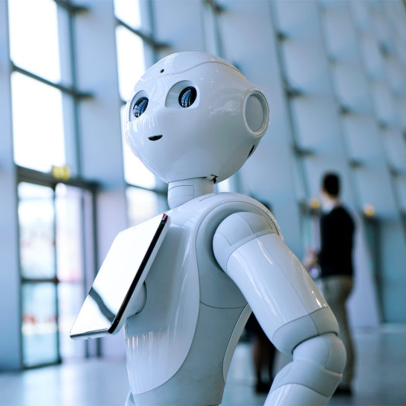 Robot