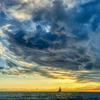 330x330-mid-year-outlook-2024