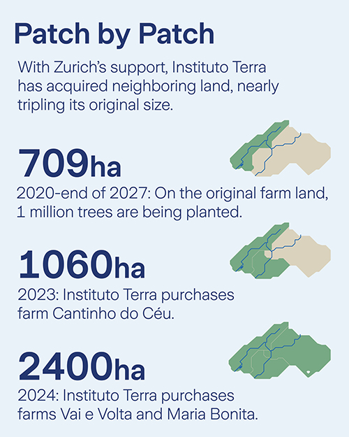 Zurich Forest 5 Year Anniversary - Slide 4