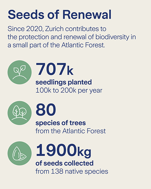 Zurich Forest 5 Year Anniversary - Slide 6