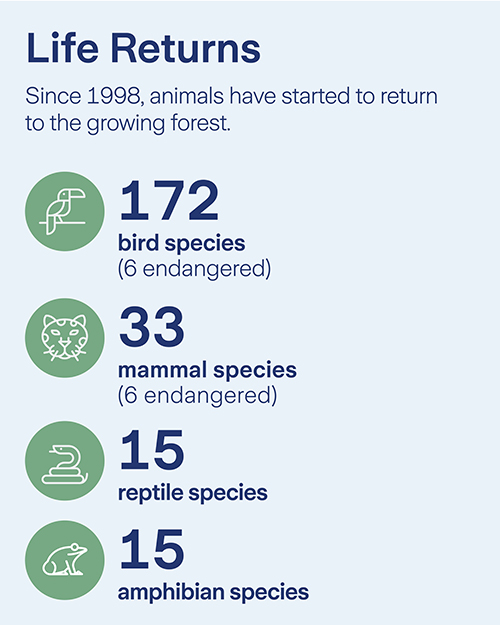 Zurich Forest 5 Year Anniversary - Slide 7