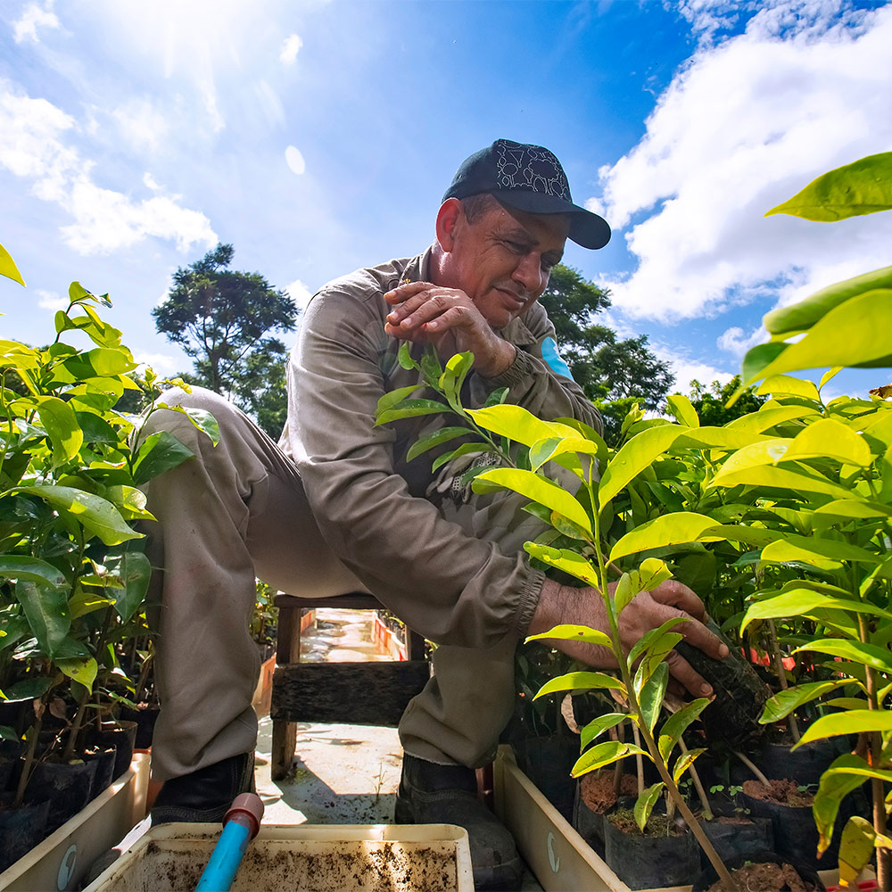 Employee working at Instituto Terra