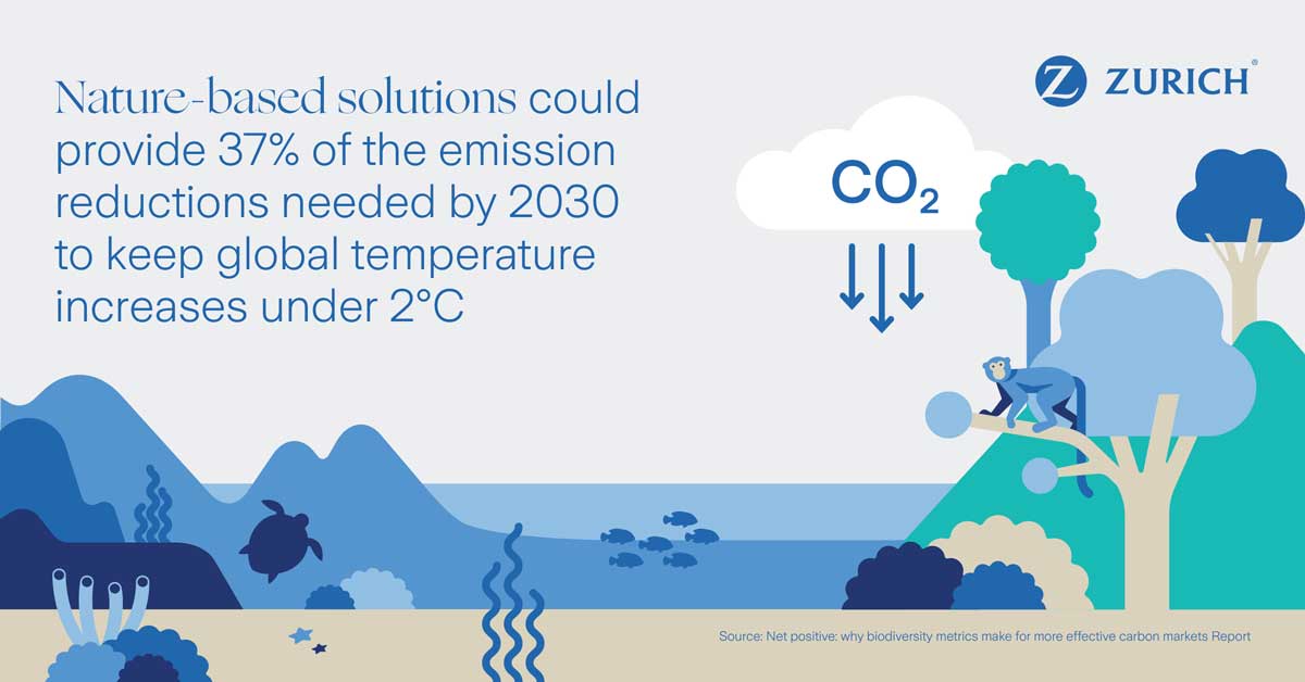infograph nature-based solutions