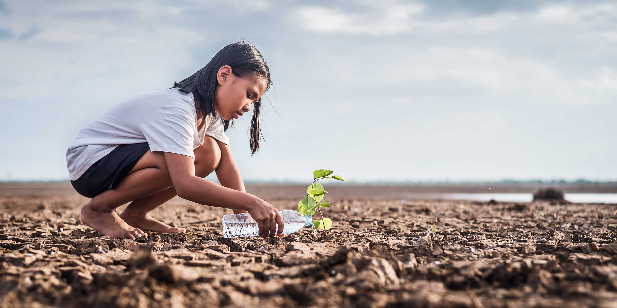 girl watering a plant