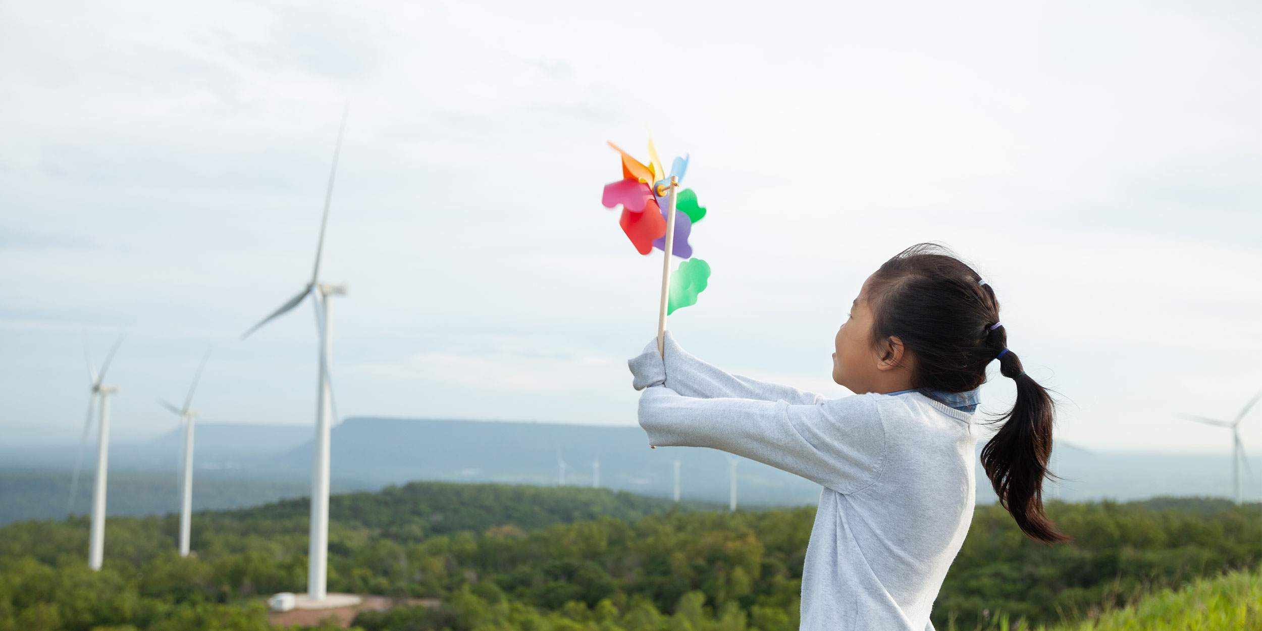 water ground storage tanks from the top