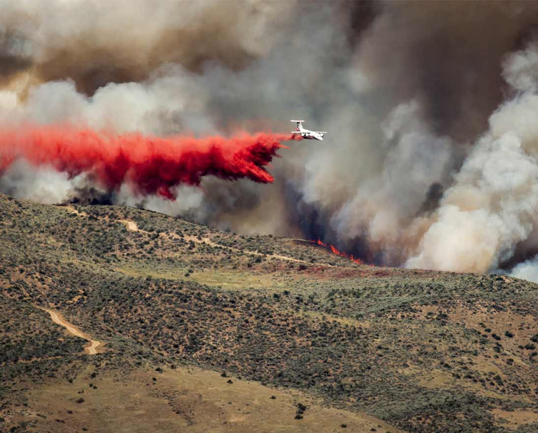 plane over forest put out wildfire