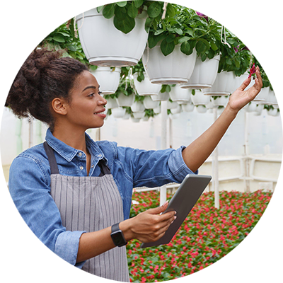 woman checking plants