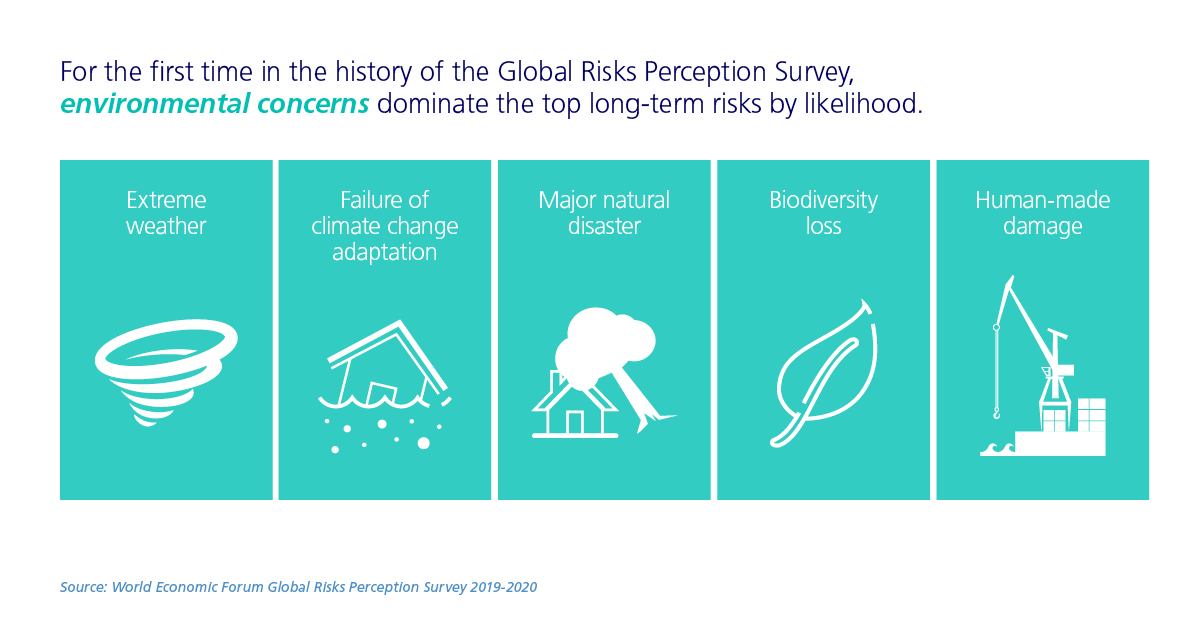 environmental concerns infographic
