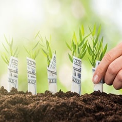 teaser-growing-money-square