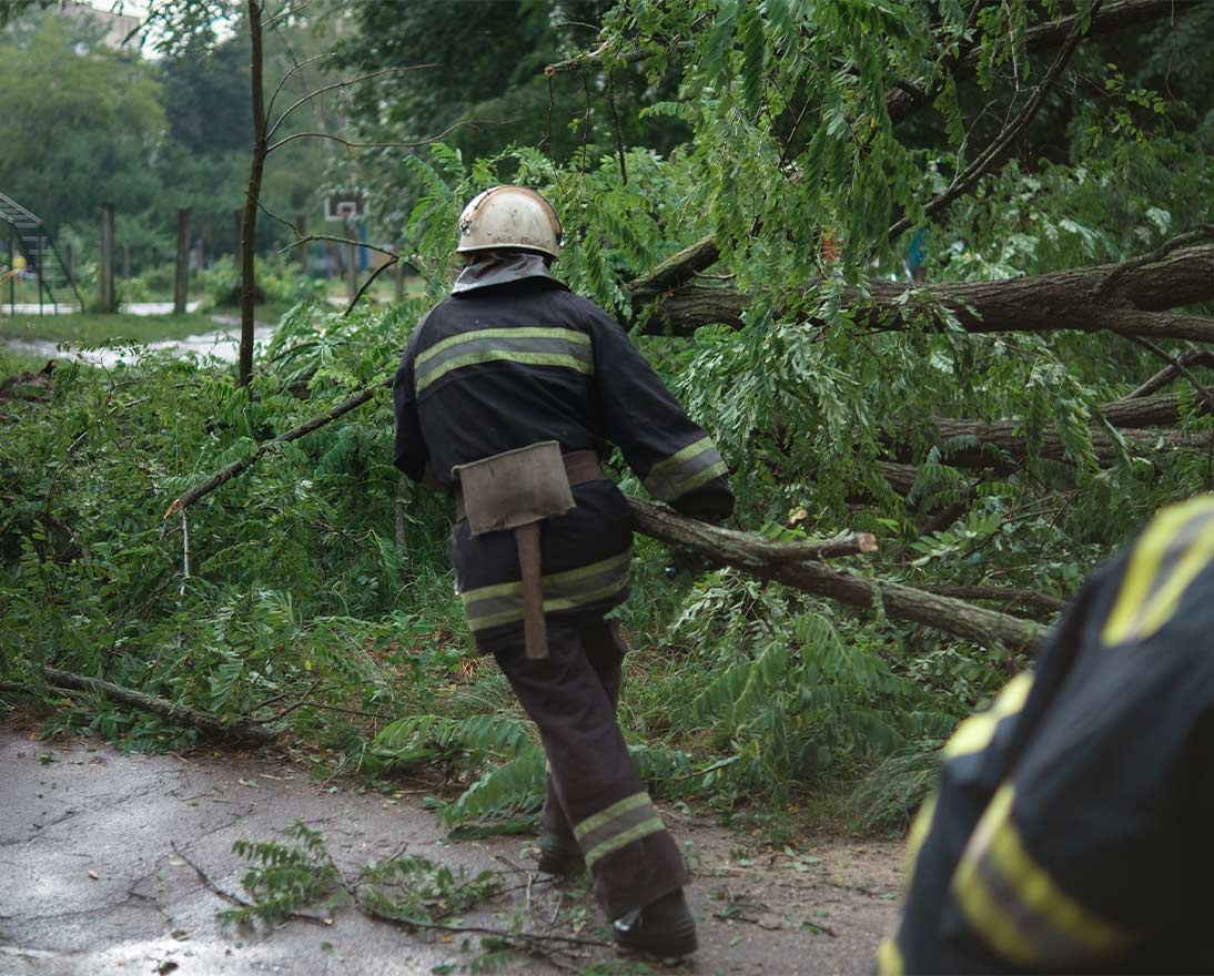 firefighters moving trees