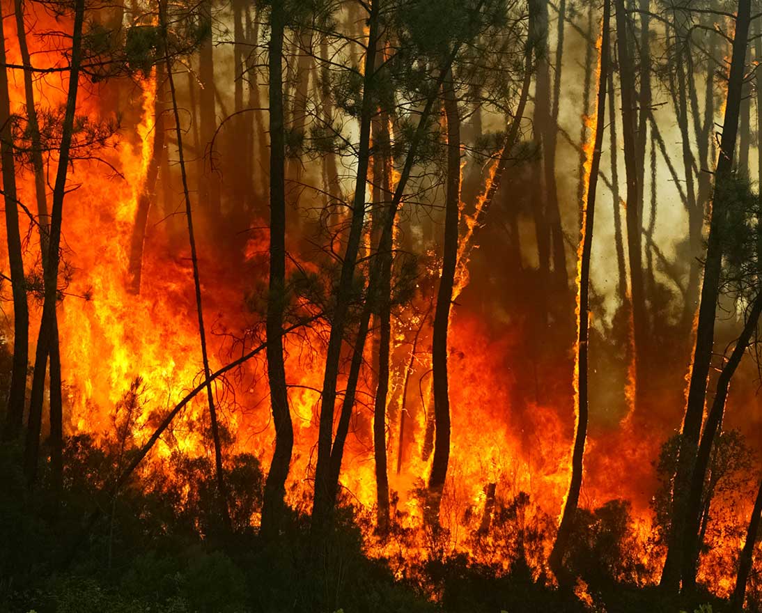 wildfire