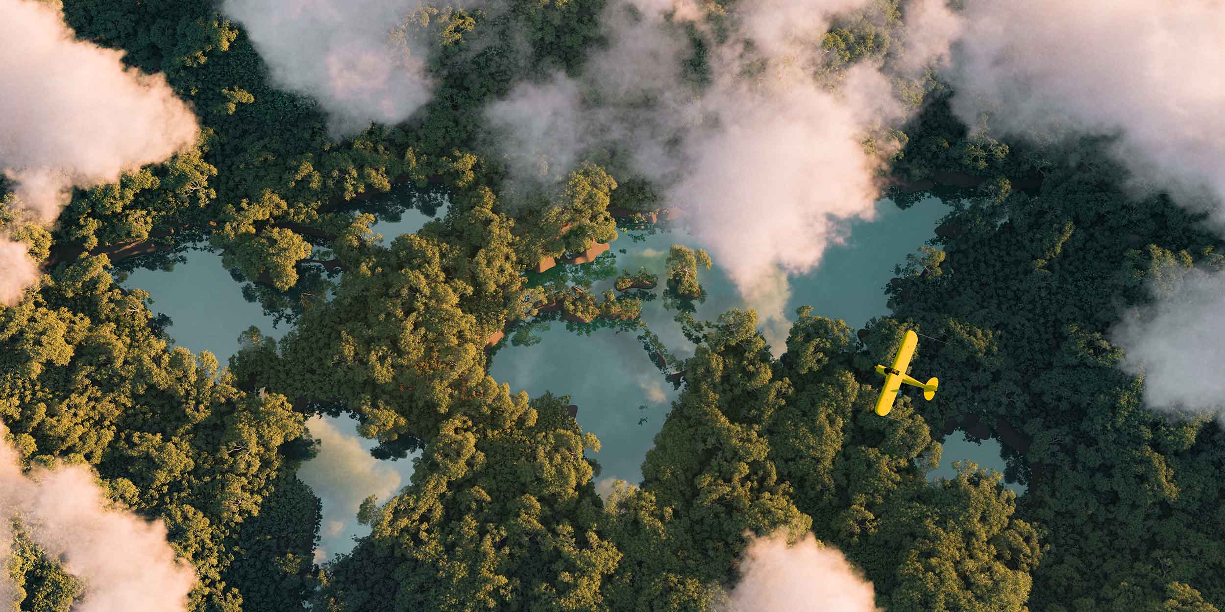 plane over forest