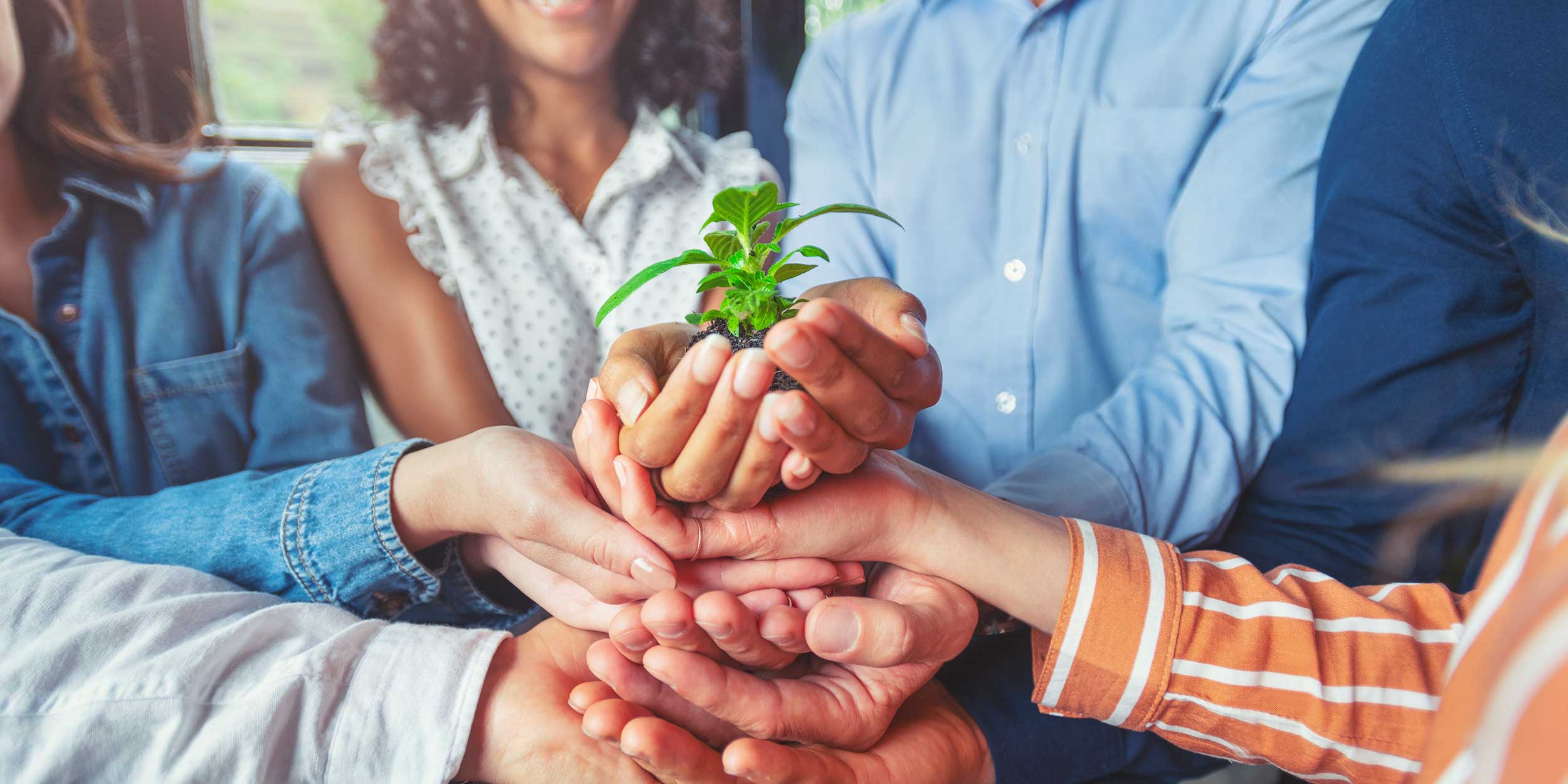 holding plant in hands