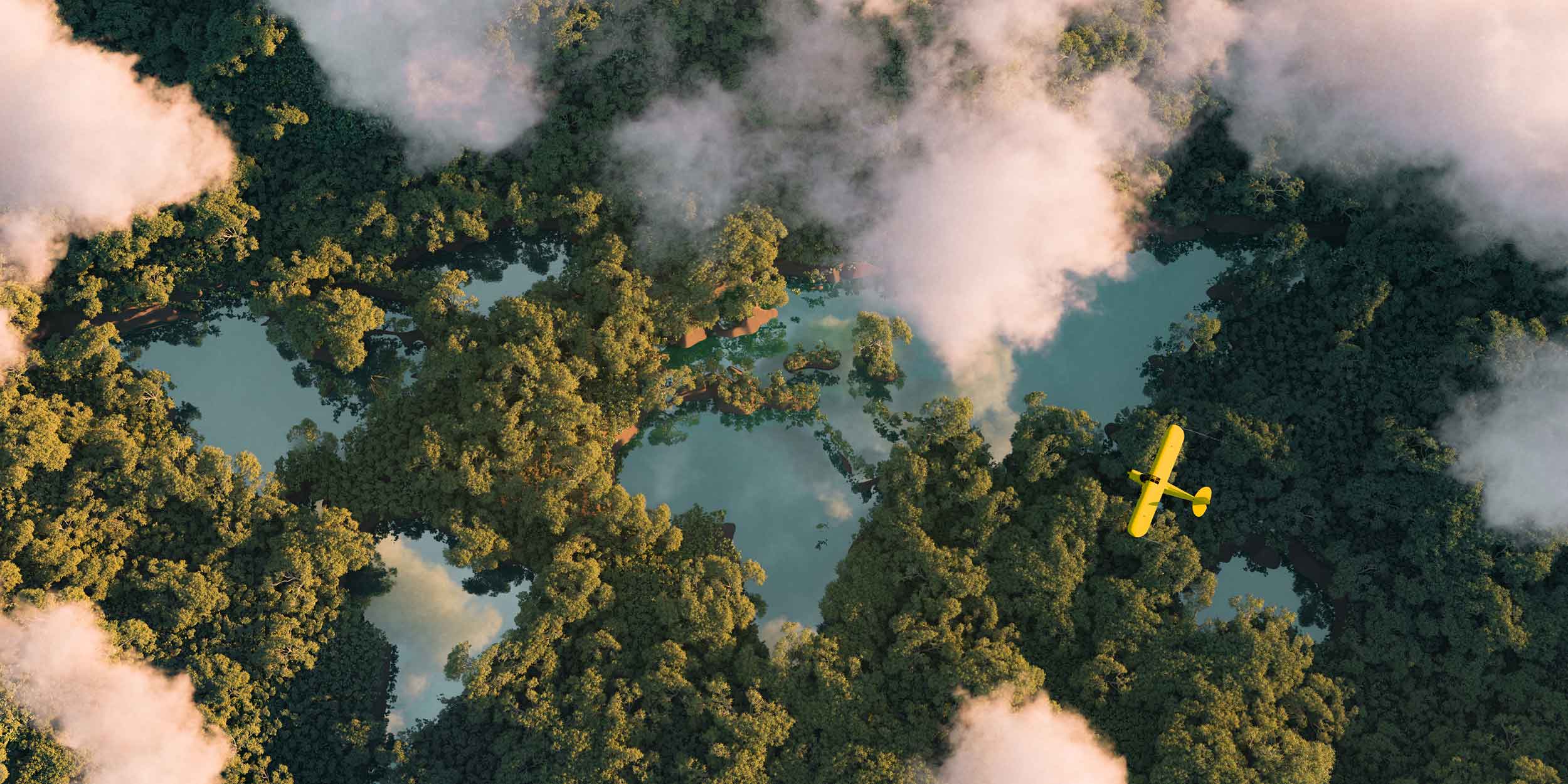 Aerial view of the rainforest
