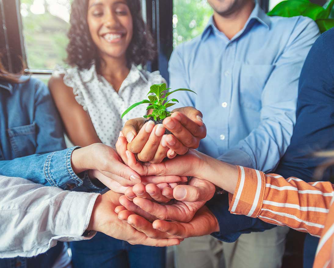 holding plant in hands
