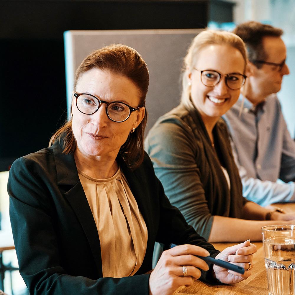 people in a meeting