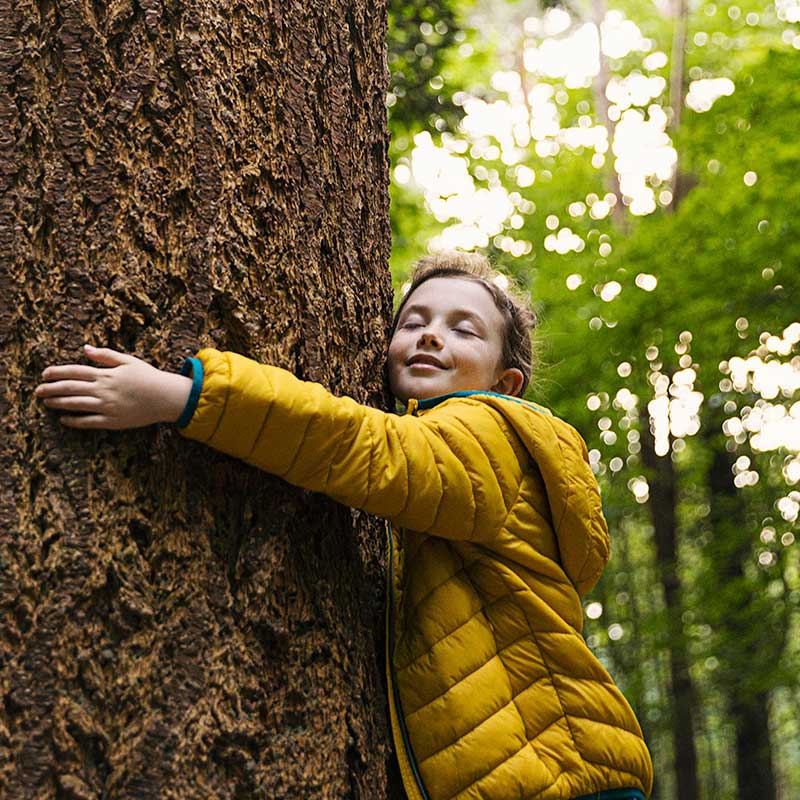 girl hugging a tree