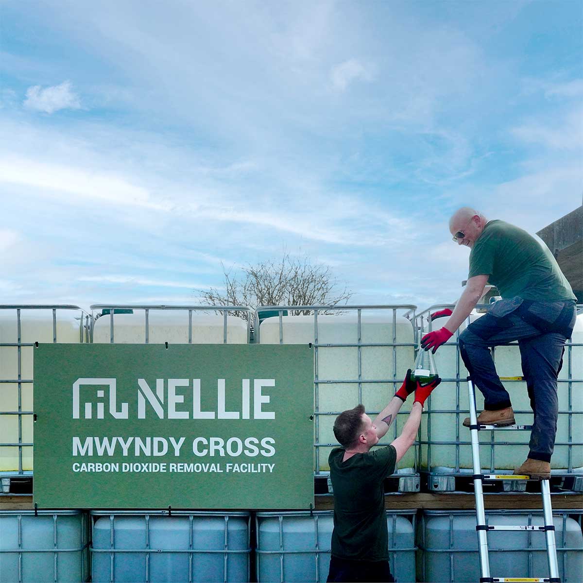 Nellie - Carbon Dioxide Removal Facility