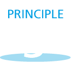 icon principle 3