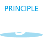 icon principle 5