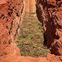 biomass burial site