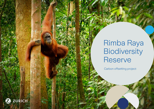 cover of Rimba Raya biodiversity reserve