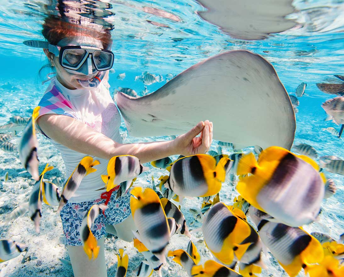 a girl snorkling surrounded by fish