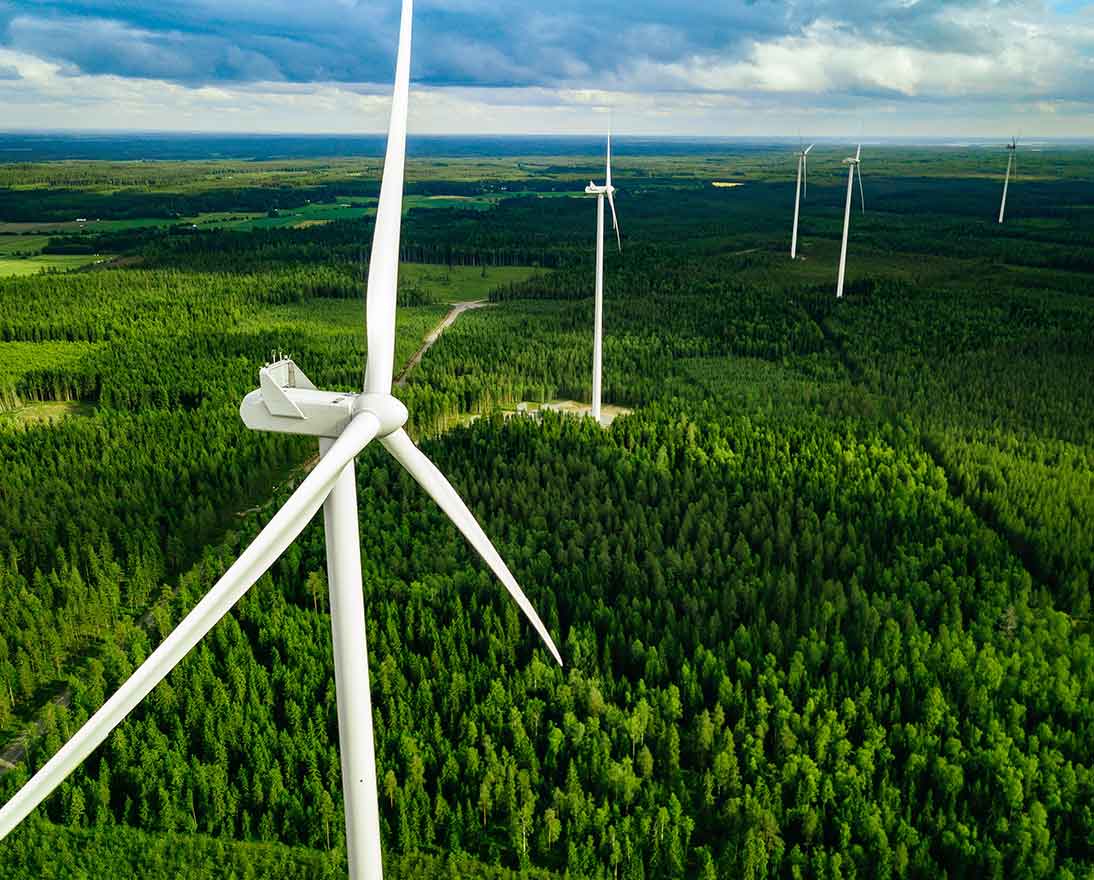 windmills in green summer forest