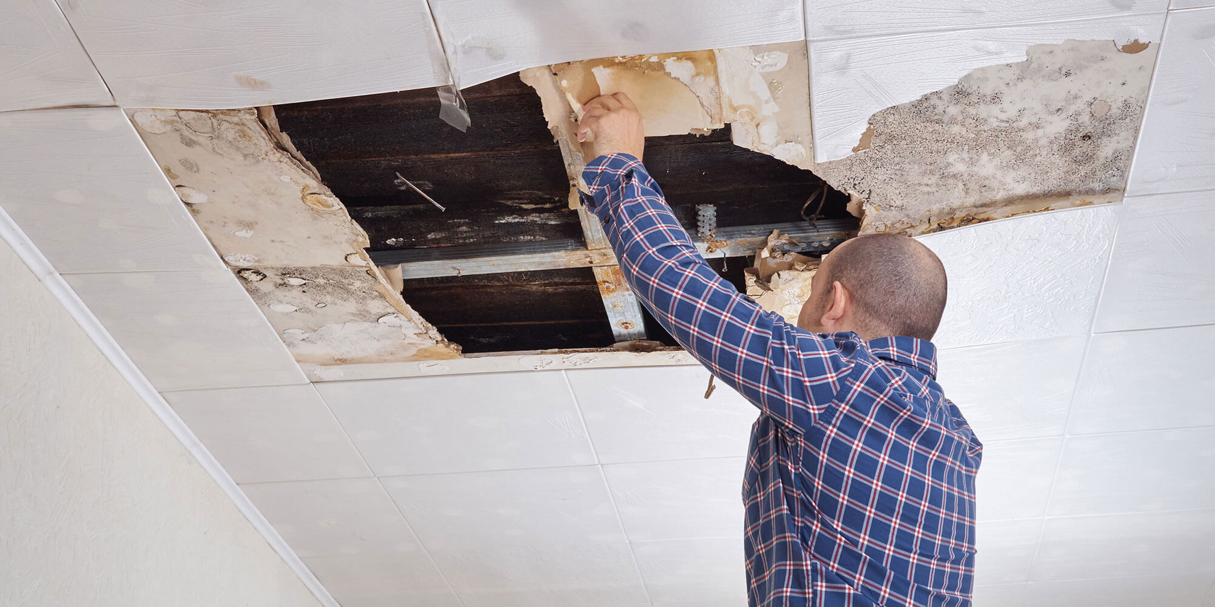 Rules For Handling Water Damage