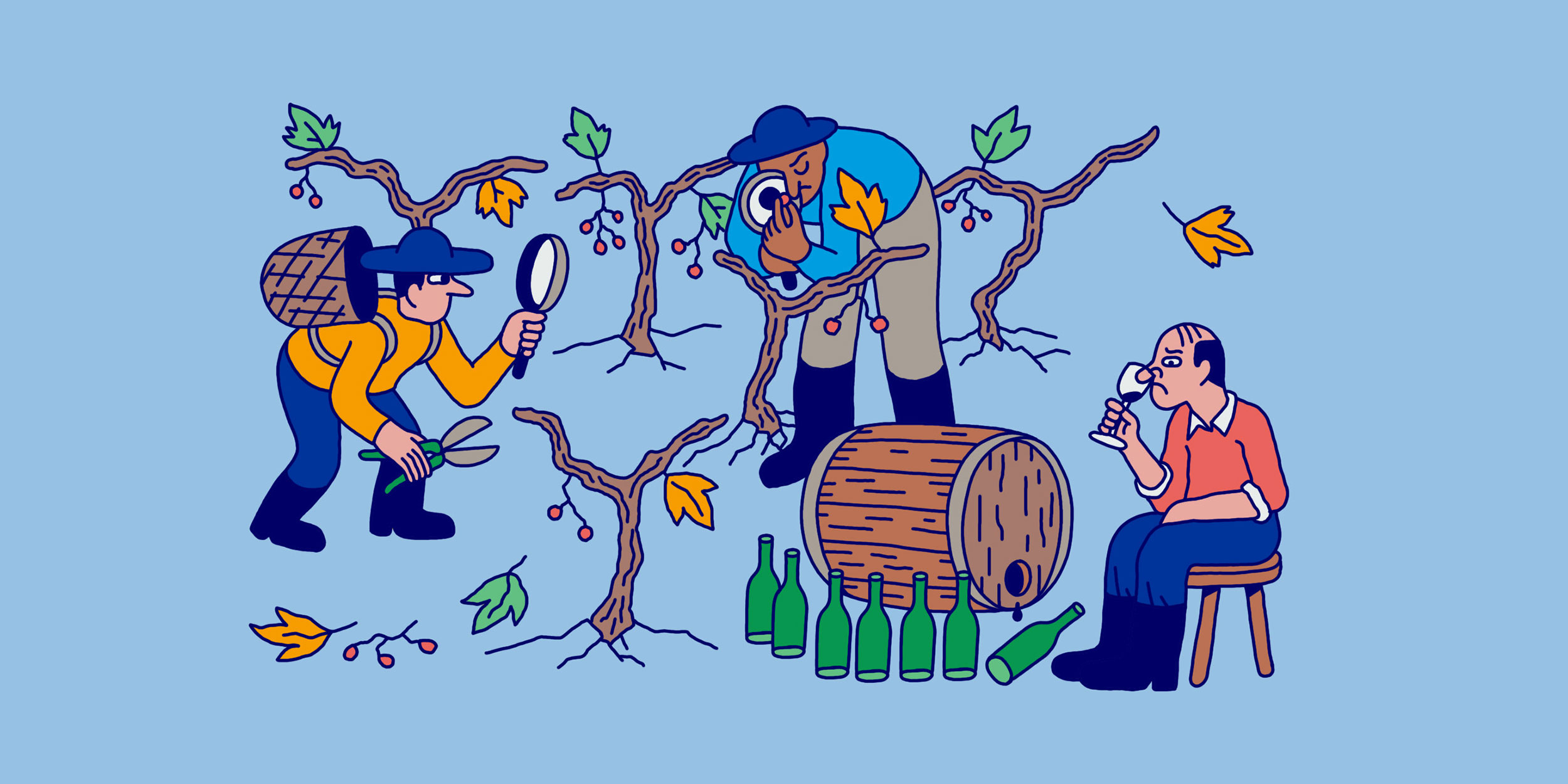 illustration vineyard