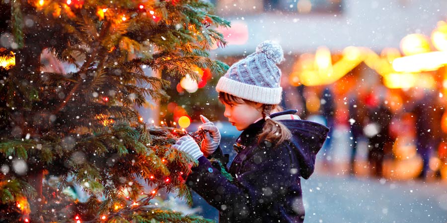 Real vs. artificial: What is the most sustainable type of Christmas ...