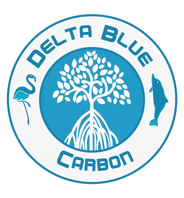 Delta Blue Carbon logo