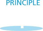 icon principle 1