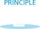 icon principle 2