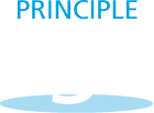 icon principle 3