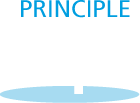 icon principle 4