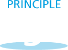 icon principle 5