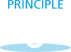 icon principle 6