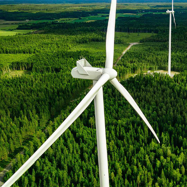 windmills and forest